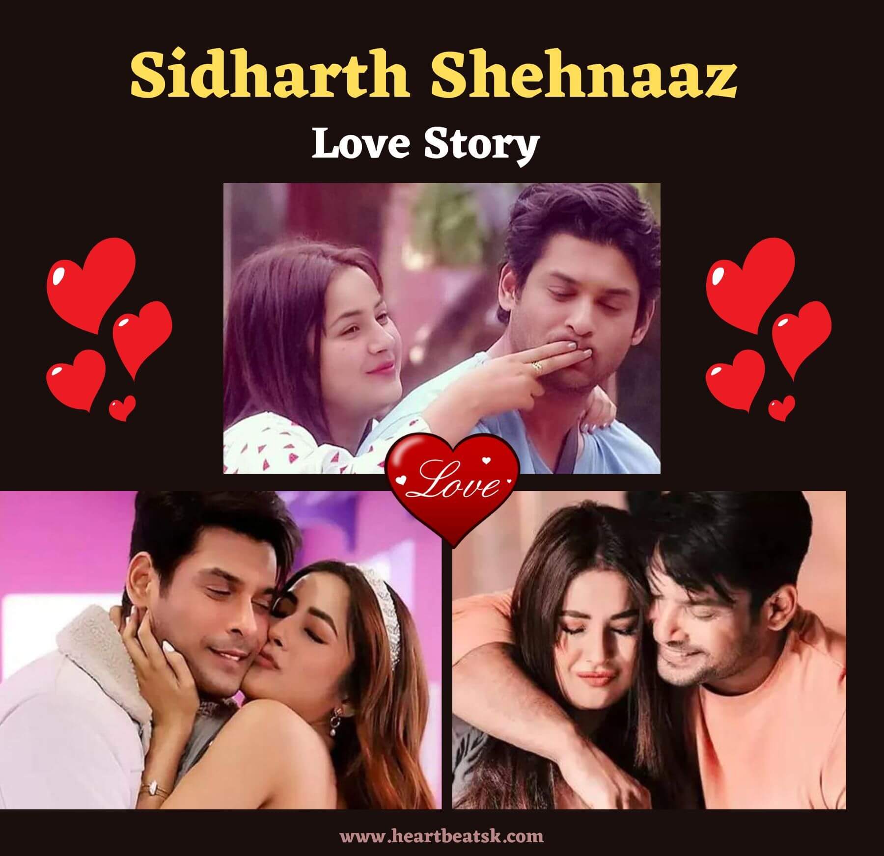 Sidharth Shukla Shehnaaz Gill Love Story
